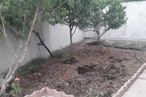 تصویر 3 - خانه ارزان و تمیز  در  سوادکوه