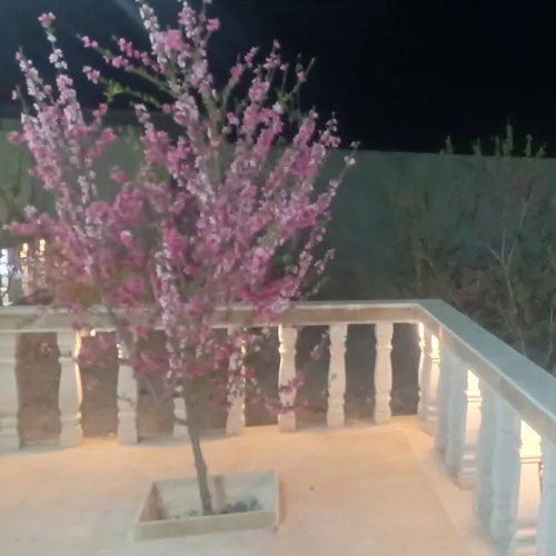تصویر 4 - ویلا اقامتگاه همایون  در ماهدشت