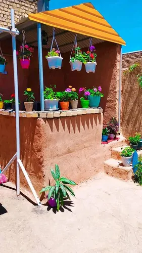 تصویر 22 - خانه ویلایی زولان جنگل ابر در  شاهرود