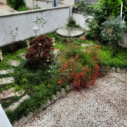تصویر 5 - ویلا جنگلی استخر و جکوزی پارسا  در  متل قو