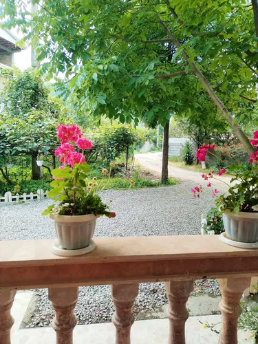 تصویر 20 - ویلا جنگلی محسن در  اسالم