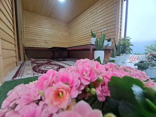 تصویر 10 - کلبه جنگلی امیر در  ماسال