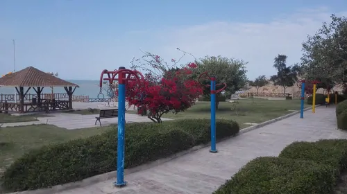 تصویر 14 - آپارتمان ساحلی محیصا (2) در  بوشهر