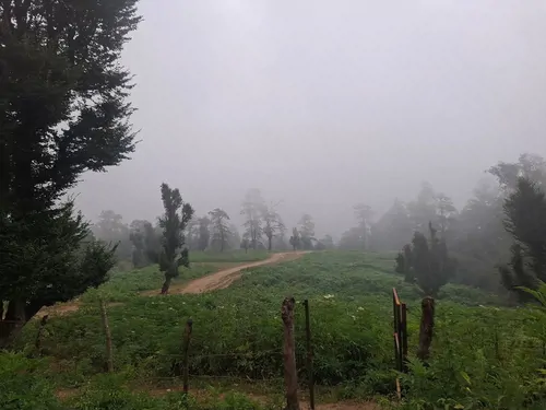 تصویر 25 - کلبه چوبی پدر  در  ماسال