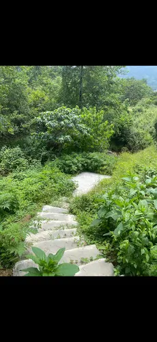 تصویر 5 - کلبه کلبه تک خواب دلنشین همراه با جکوزی در رامسر