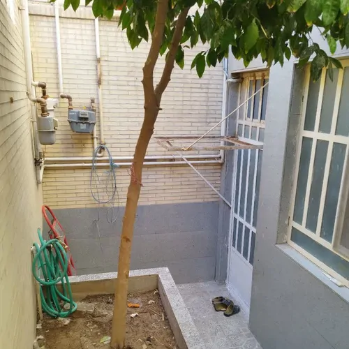 تصویر 9 - خانه مبله زیتون در  یزد