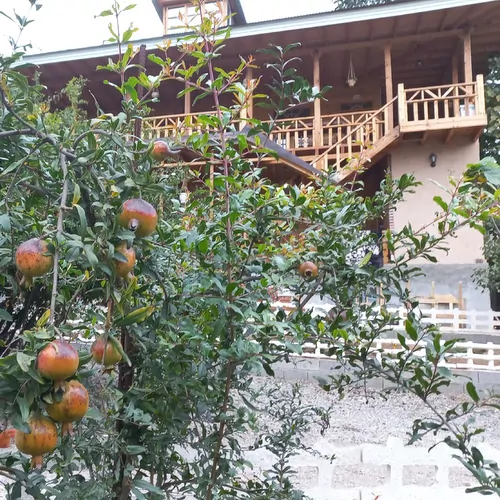 تصویر 9 - اقامتگاه بوم‌گردی دارکوب(اتاق سهره) در  رستم آباد