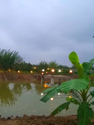 تصویر 21 - ویلا باغ دریاچه در  محمودآباد