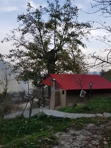 تصویر 2 - روستایی و عشایری سرو در رامیان