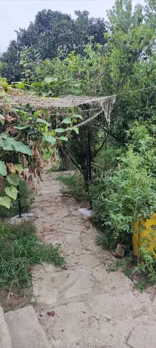 تصویر 13 - ویلا ریکا جان در  رودسر
