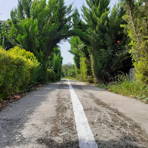 تصویر 13 - سوییت ویلایی چشم انداز شالیزار در  قائمشهر