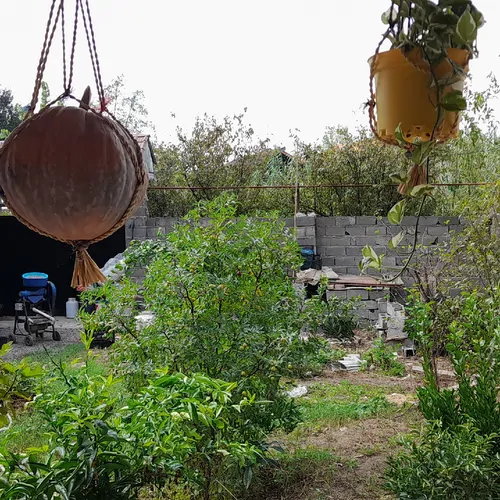 تصویر 4 - خانه سوئیت ایوان دار سر سبز در لاهیجان