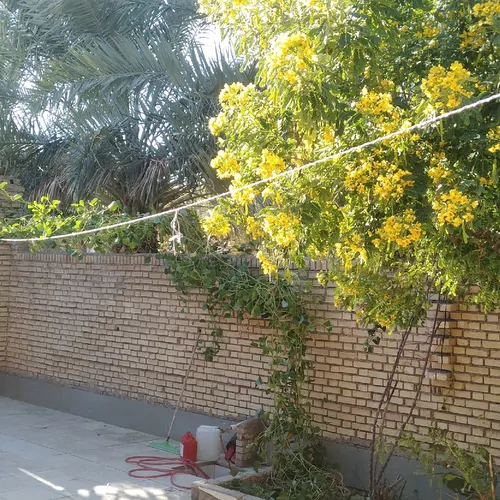 تصویر 11 - ویلا دریس در  آبادان