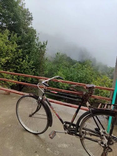 تصویر 2 - کلبه سکوت جنگل در کلاردشت