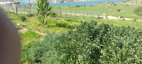تصویر 2 - کلبه لاکچری  در ایذه