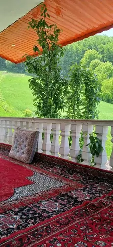 تصویر 2 - ویلا ویلای جنگلی دنج ،جفت به جنگل با ویوی بی نظیر هم از پشت و هم جلو با نورگیری عالی در نکا