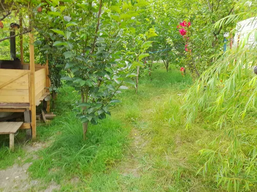 تصویر 10 - کلبه جنگلی آراد در  ماسال