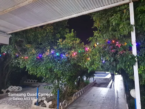 تصویر 2 - ویلا استخر آب گرم در دزفول