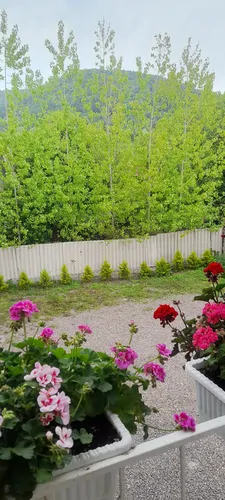 تصویر 25 - ویلا با دیزاین چوب متین  در  ماسال