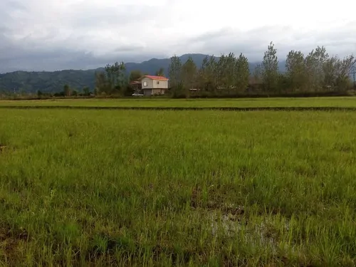 تصویر 2 - ویلا ویلای آرامش در رودسر