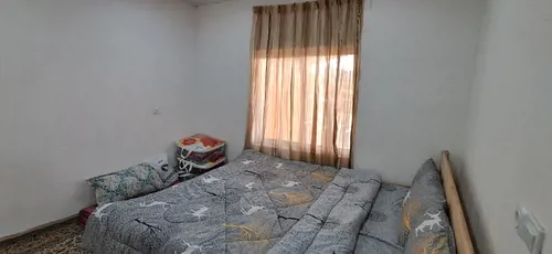 تصویر 10 - کلبه  مهیار  در  سوادکوه