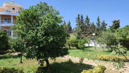 تصویر 40 - ویلا ساحلی رئوف با بیلیارد  در  چالوس