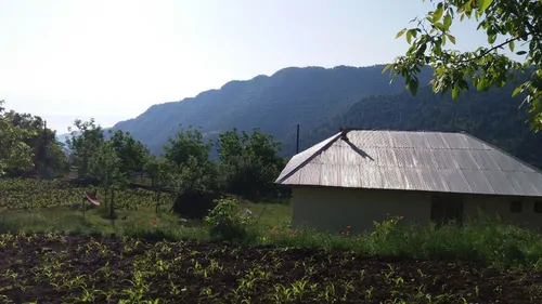 تصویر 5 - ویلا شیردل در  تالش