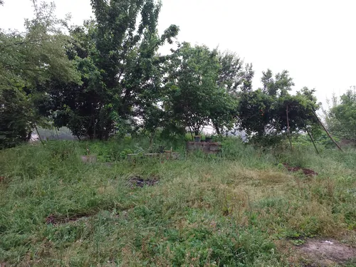 تصویر 4 - ویلا  روستایی لاکچری  در لشت نشاء