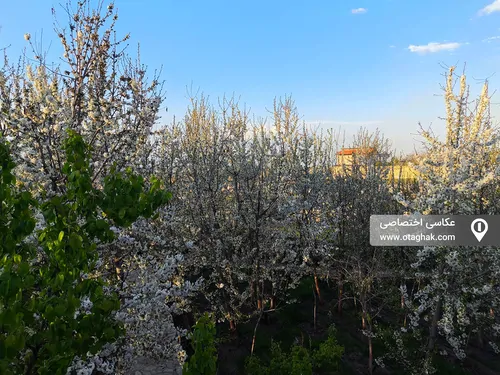 تصویر 23 - ویلا استخردار آبگرم آزادی با جکوزی و فوتبال دستی در شاندیز