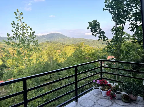 تصویر 20 - ویلا سوییسی چای در لاهیجان