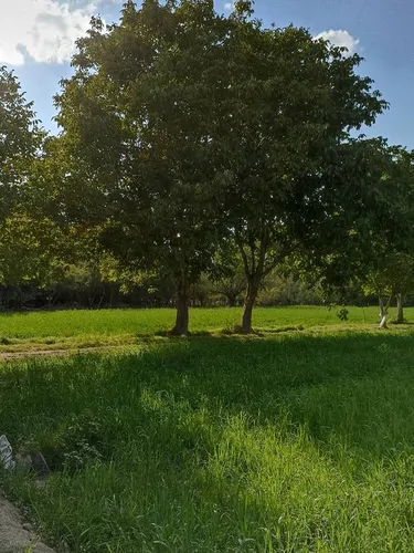 تصویر 15 - خانه سنتی آسمان در  خوانسار
