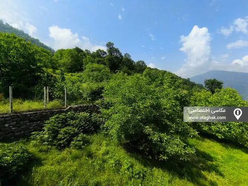 تصویر 24 - خانه تیلیا (واحد سرخدار) در علی آباد کتول