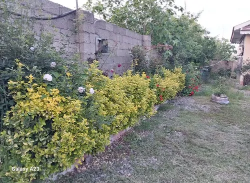 تصویر 4 - خانه ویلای دوخوابه حیاط دار شایان  در فومن