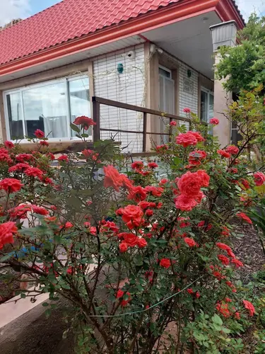 تصویر 2 - ویلا خانه باغ با فضایی سرسبز و دلنشین در کاشان