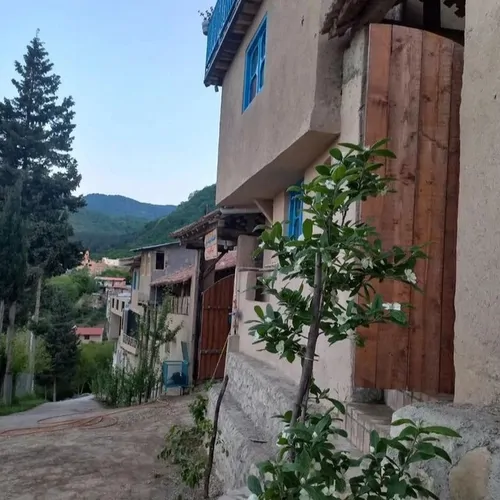 تصویر 2 - اقامتگاه بوم‌گردی دهکده گردشگری کلبه یاقوت در بهشهر
