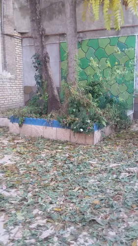 تصویر 5 - ویلا بومگردی نظربیگ در  همدان