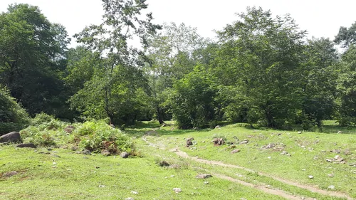 تصویر 33 - ویلا  جنگلی رایان در  شیرگاه