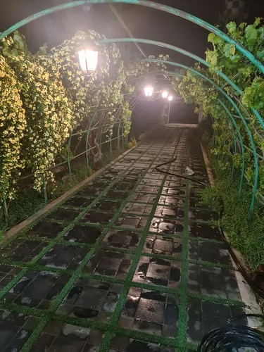 تصویر 3 - ویلا حس خاص در چهارباغ