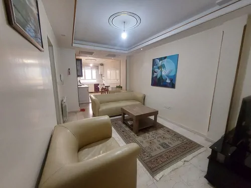 تصویر 2 - آپارتمان مبله آریان در پونک در تهران