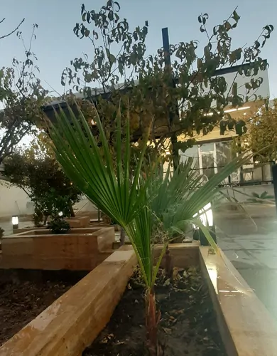 تصویر 5 - ویلا لاکچری استخردار، اب گرم رضوان در  سهیلیه