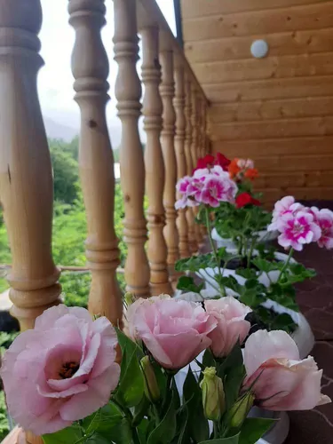 تصویر 38 - کلبه سوئیسی پامچال  در  پره‌سر