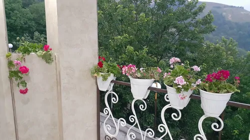تصویر 11 - ویلا گل سرخ در  علی آباد کتول