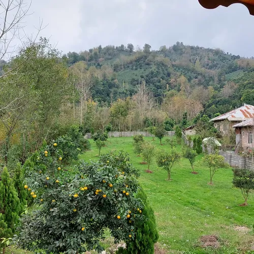 تصویر 13 - روستایی و عشایری چوبی دوبلکس جنگلی در  کلاچای