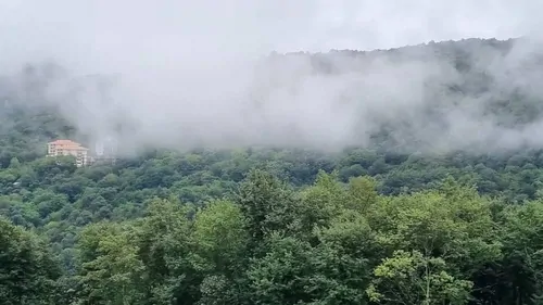 تصویر 9 - ویلا جنگلی کاسکو  در  رامسر