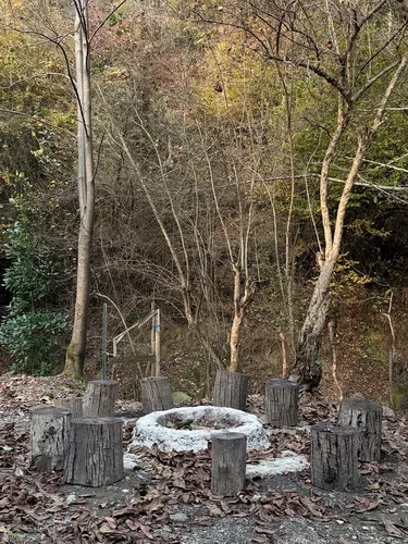 تصویر 19 - کلبه چوبی گندم در  ماسال