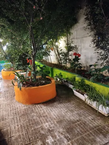 تصویر 26 - ویلا باغچه مینو در رشت