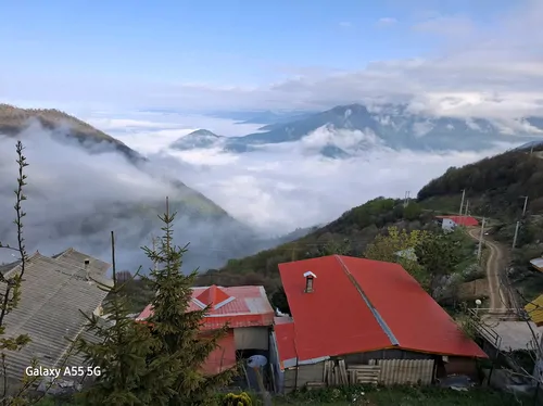 تصویر 43 - ویلا جنگلی بر فراز ابرها در رامسر
