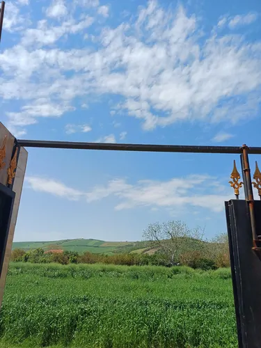 تصویر 28 - ویلا باقری در ساری