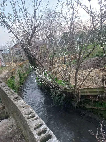 تصویر 11 - ویلا خانه روستایی  در  تالش