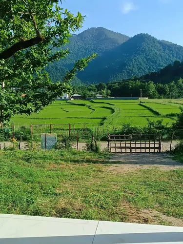 تصویر 13 - ویلا اسکندری در  ماسال